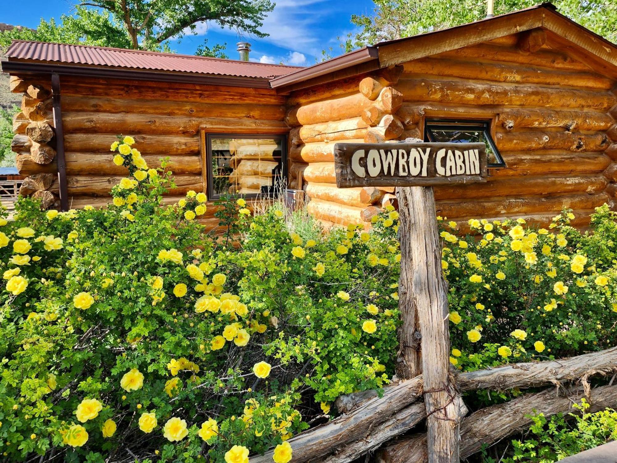 Canyon Of The Ancients Guest Ranch Cortez Dış mekan fotoğraf