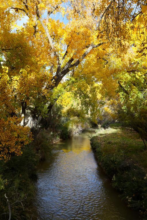 Canyon Of The Ancients Guest Ranch Cortez Dış mekan fotoğraf