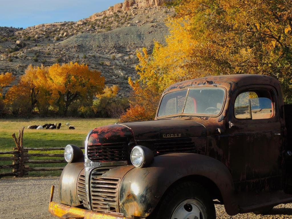 Canyon Of The Ancients Guest Ranch Cortez Dış mekan fotoğraf