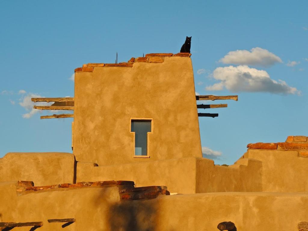 Canyon Of The Ancients Guest Ranch Cortez Dış mekan fotoğraf