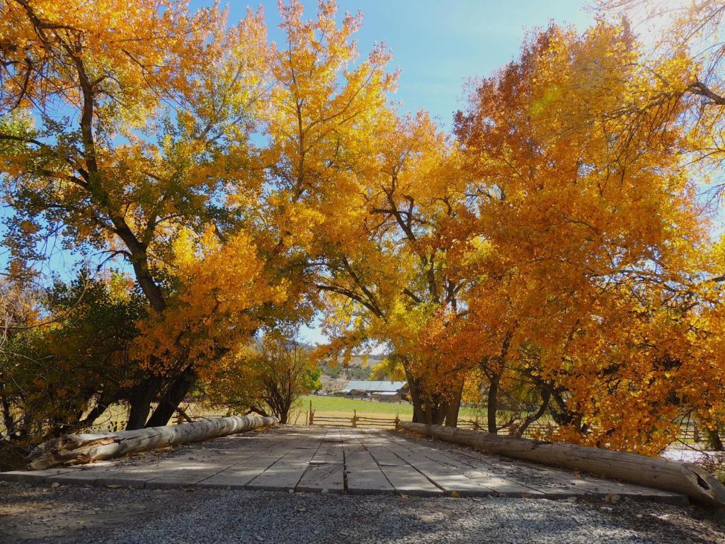 Canyon Of The Ancients Guest Ranch Cortez Dış mekan fotoğraf