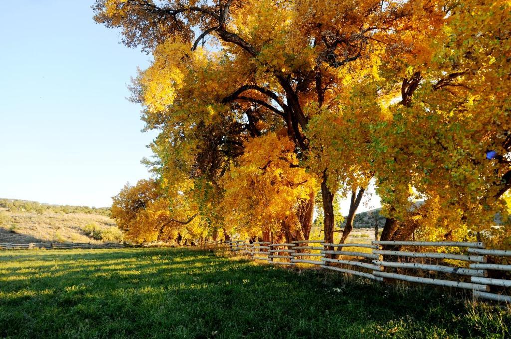 Canyon Of The Ancients Guest Ranch Cortez Dış mekan fotoğraf