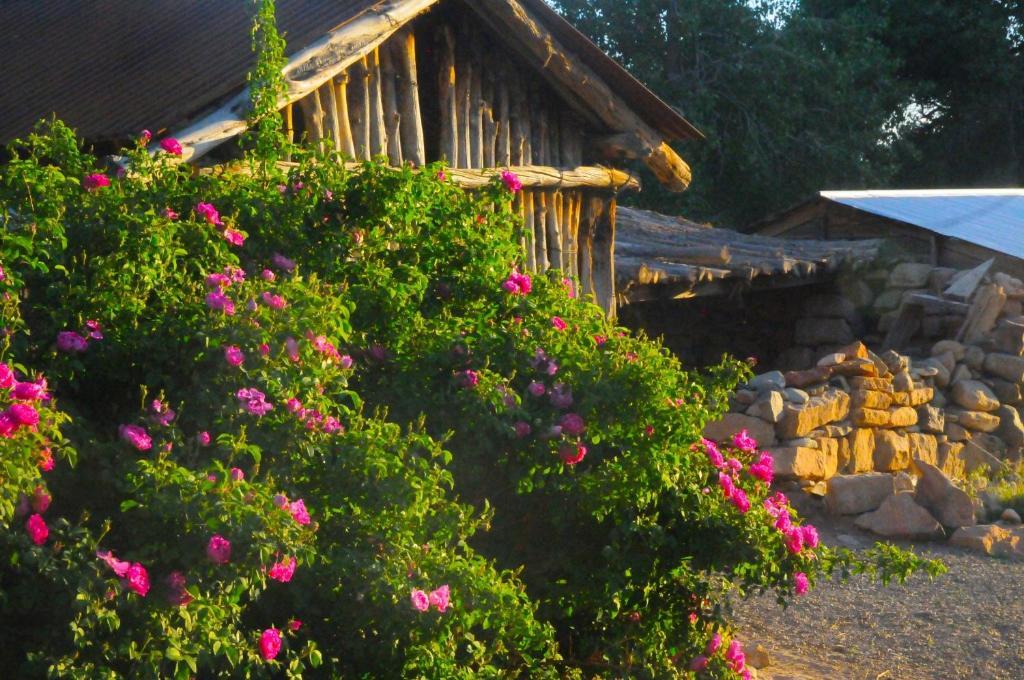 Canyon Of The Ancients Guest Ranch Cortez Dış mekan fotoğraf