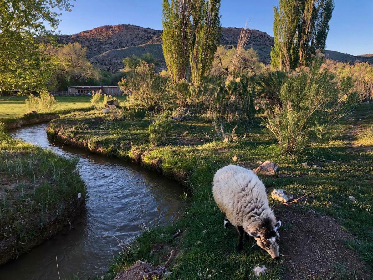 Canyon Of The Ancients Guest Ranch Cortez Dış mekan fotoğraf